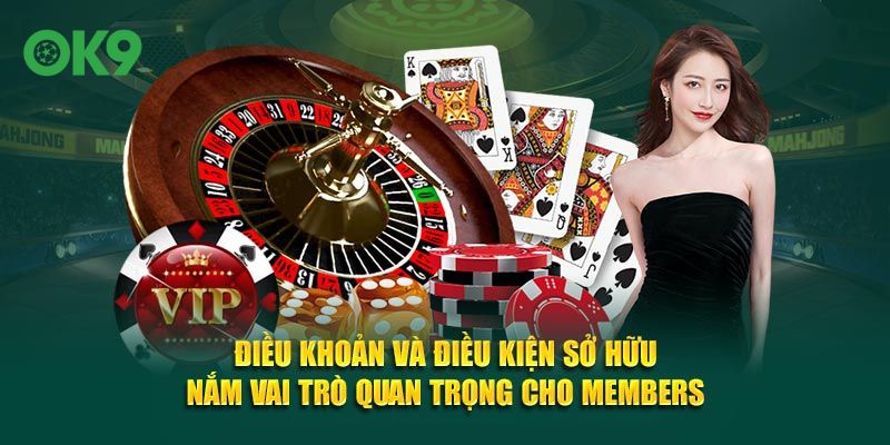 Điều khoản và điều kiện sở hữu nắm vai trò quan trọng cho members