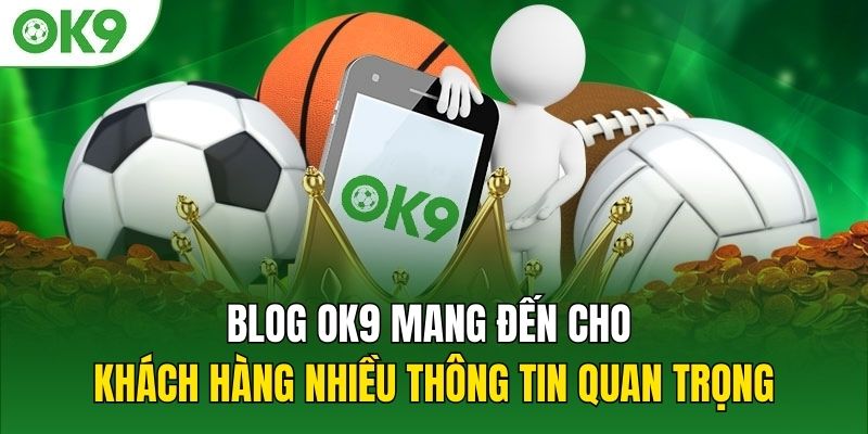 Blog OK9 mang đến cho khách hàng nhiều thông tin quan trọng