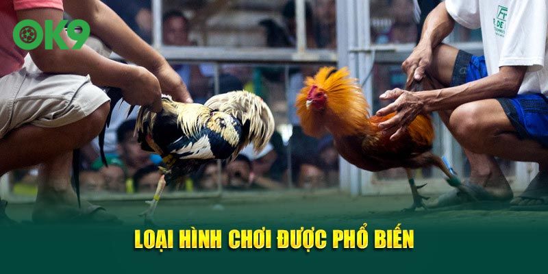 Loại hình chơi được phổ biến