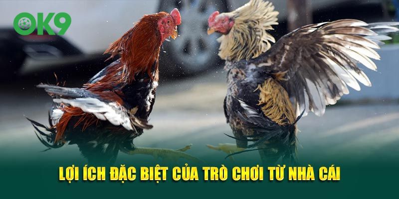 Lợi ích đặc biệt của trò chơi từ nhà cái