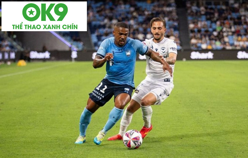 Newcastle Jets và Wellington sẽ gặp nhau tại vòng 22 A-League Newcastle Jets và Wellington sẽ gặp nhau tại vòng 22 A-League